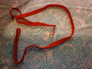 red dog leash with second handle - best dog leash